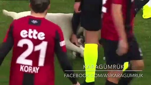 Karagümrük - Giresun maçında topa hakimiyet köpeğin oldu