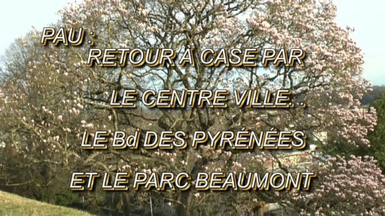 LES PROMENADES DE MICHOU W-D.D. - 9 FÉVRIER 2020 - PAU - RETOUR À CASE PAR LE CENTRE VILLE LE Bd ET LE PARC BEAUMONT