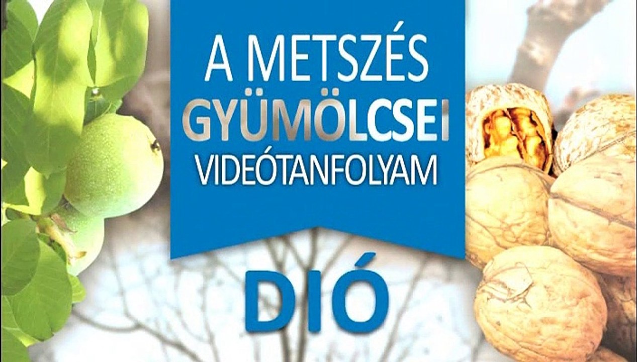 08 Dió