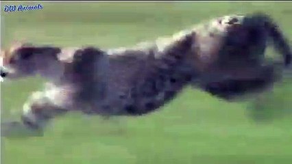 구로출장서비스 구로출장서비스O1Og2154g6609｛카톡VPN58｝ 구로출장마사지샵 구로출장안마on구로출장안마cos여3♪⇔∃마사지황형♥◬≪