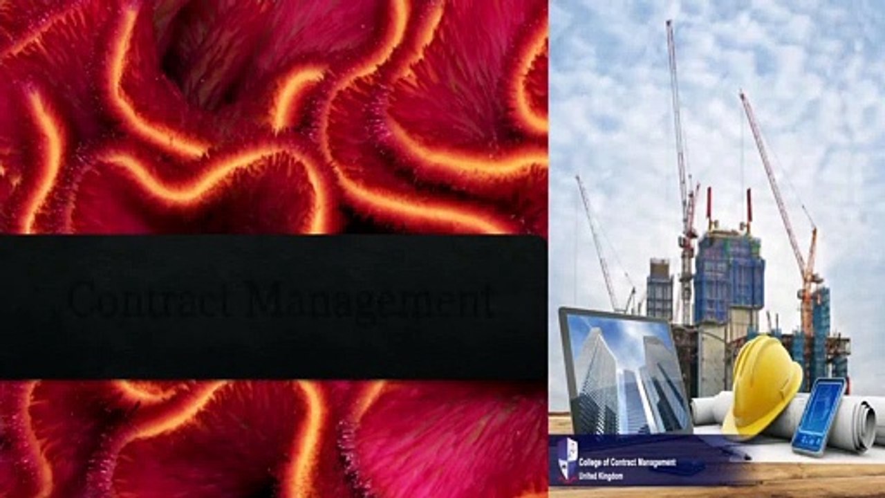 Contract Management