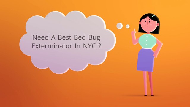 OCP : Professional Bed Bug Exterminator in NYC