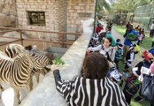 حديقة حيوانات أبوظبي وجهة العائلات السياحية المفضلة