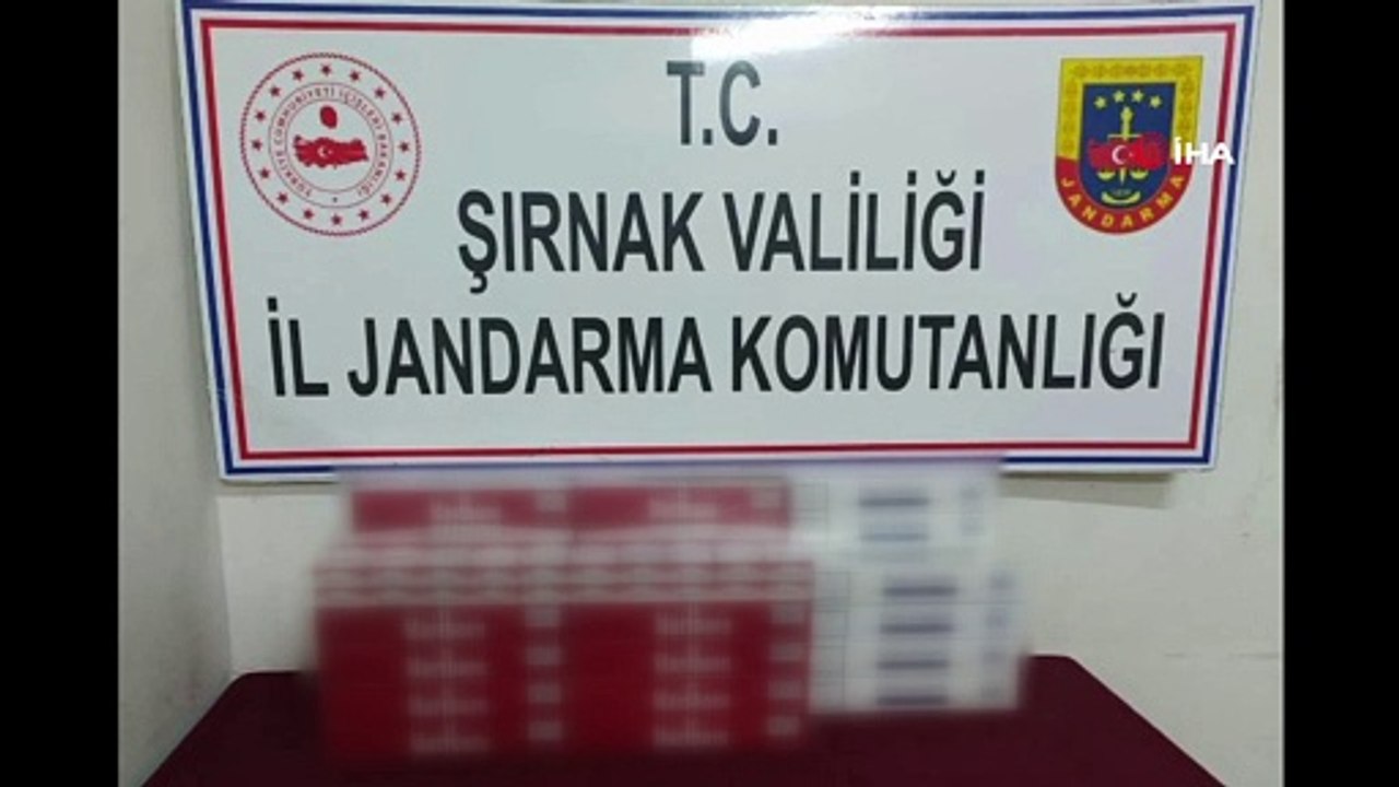 Şırnak’ta terörle mücadele ve kaçakçılık operasyonları: 40 gözaltı