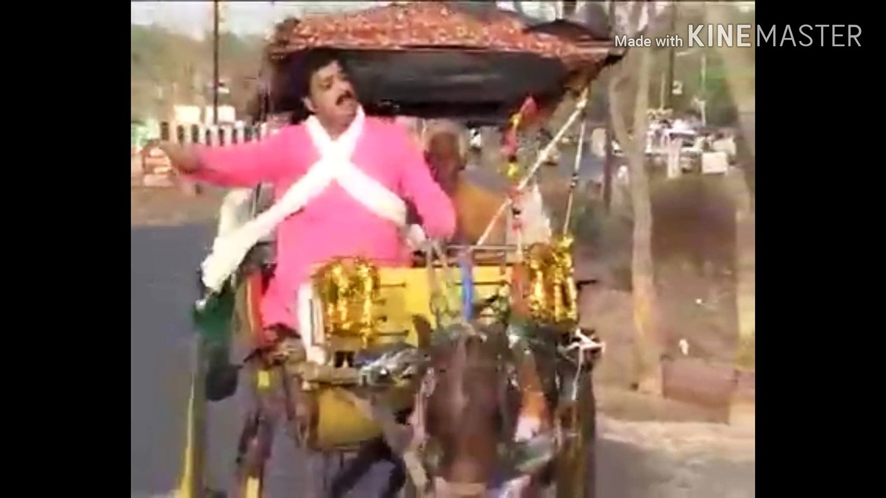 समय का घोडा