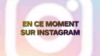 Il abandonne un chat dans des conditions effroyables