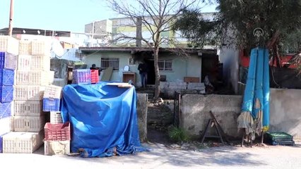 Tinerle soba tutuşturmak isteyen iki kardeş yaralandı