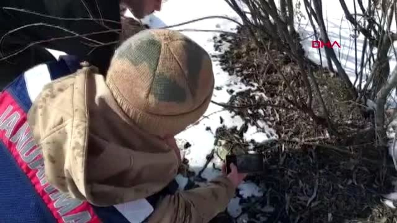 Erzurum-bir haftadır kayıp olan didem yüzeyi buz tutan karasu nehrinde aranıyor-2