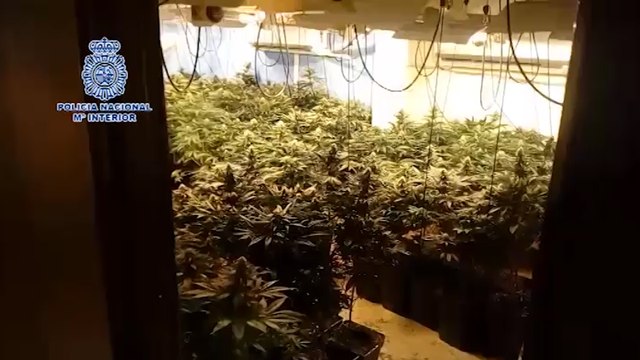 Detenido presunto grupo criminal dedicado al tráfico de drogas en Almería