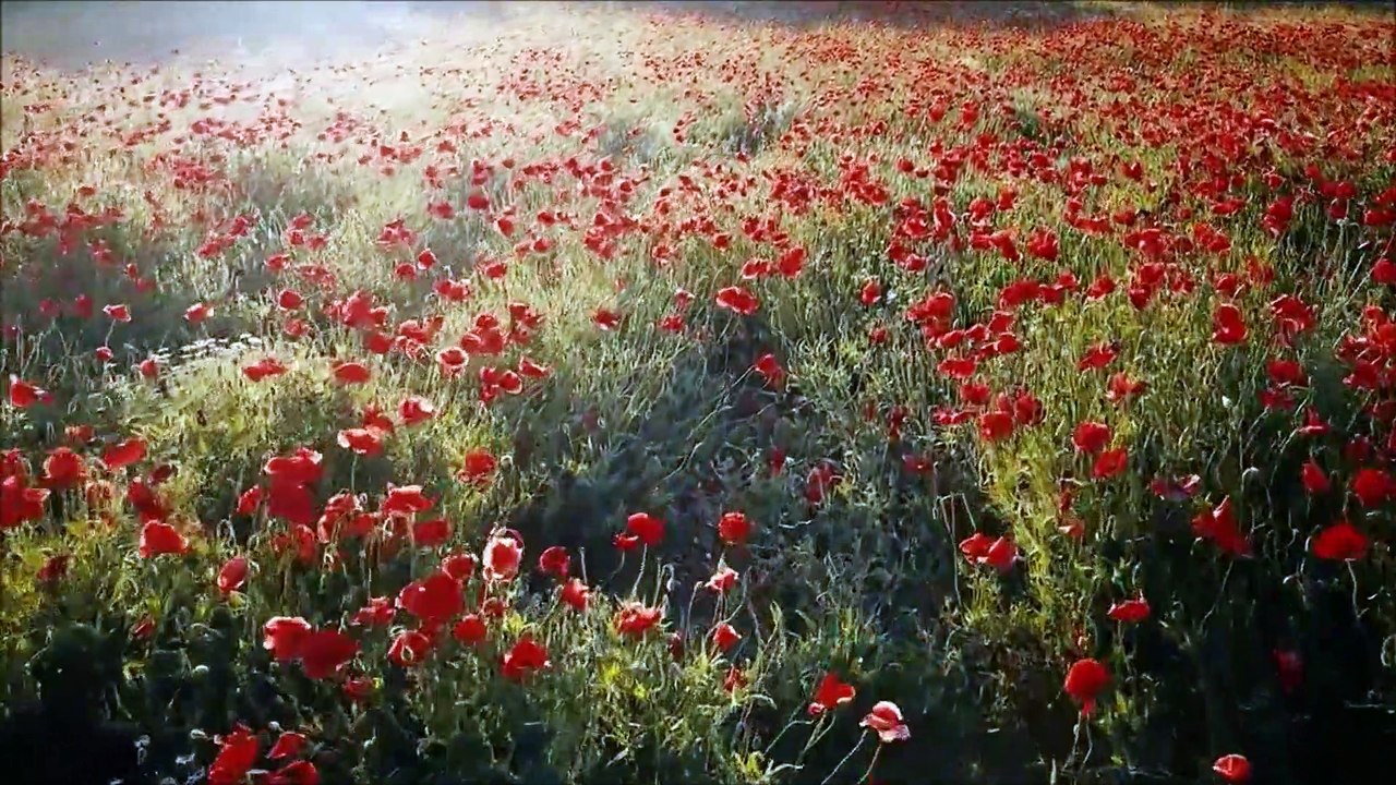 Ó Senhora de Santa Cabeça incomparável mãe Rainha dos Anjos Advogada dos pecadores