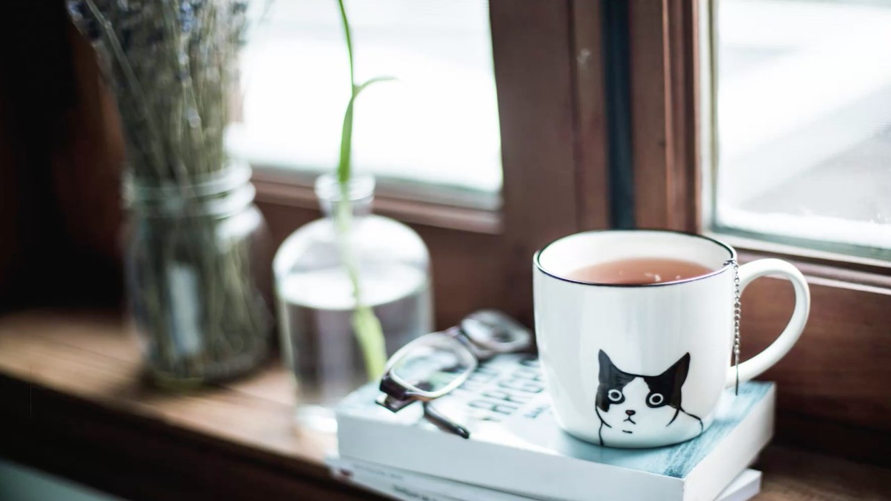 7 Geschenkideen für Katzenliebhaber