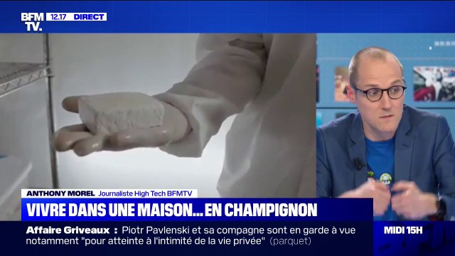 Le champignon est-il l'avenir des appartements et des maisons ?