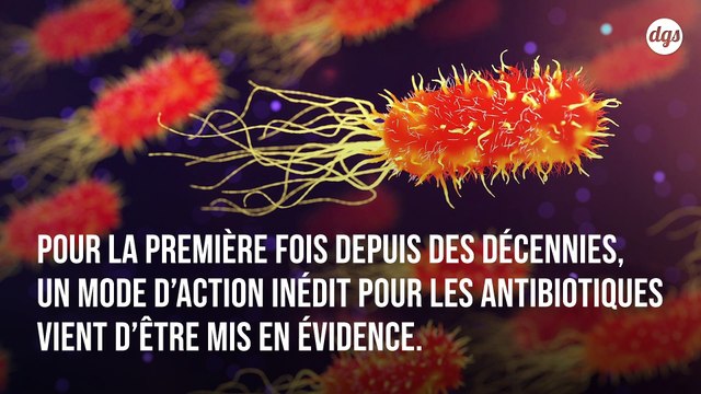 Découverte de deux antibiotiques capables de tuer les bactéries d'une manière jamais vue auparavant