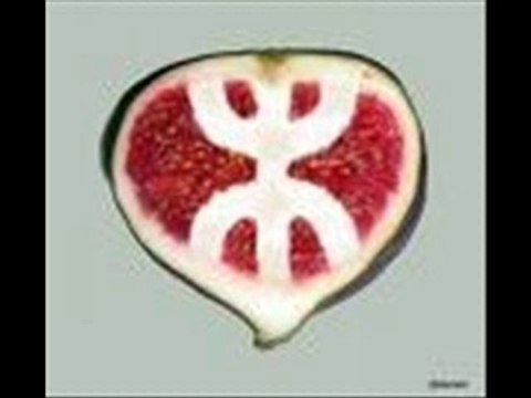 Djaafar 1 *dit moi dit moi**