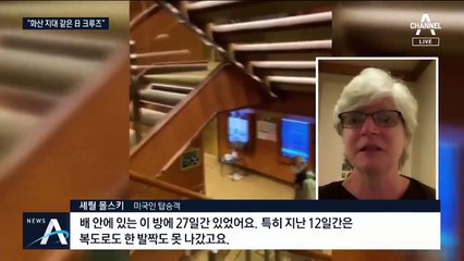 日 크루즈선 미국인 승객 300여명, 전세기 타고 귀국