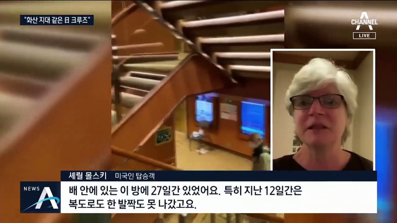 日 크루즈선 미국인 승객 300여명, 전세기 타고 귀국