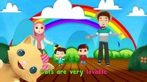 Omar & Hana _ We Love Cats _ Islamic Songs for Kids _ Islamic Nursery Rhymes for Children -