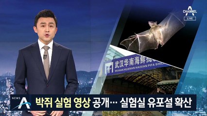 박쥐 샘플 채취 영상 공개…우한 실험실 유포설 확산