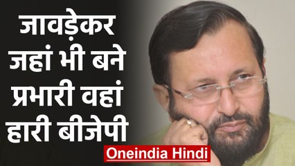 Скачать видео: Prakash Javadekar जहां भी बने Election incharge उस State में हार गई BJP | वनइंडिया हिंदी