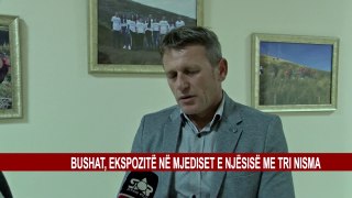 BUSHAT, EKSPOZITË NË MJEDISET E NJËSISË ME TRI NISMA