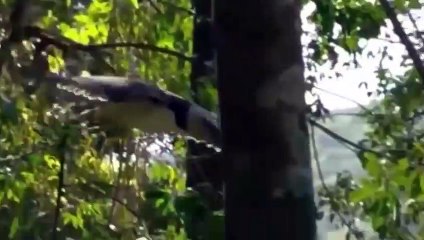 강남출장서비스 강남출장서비스O1Og2154g6609｛카톡LOT45｝ 강남출장마사지샵 강남출장안마on강남출장안마cos여3♪⇔∃마사지황형♥≍≪