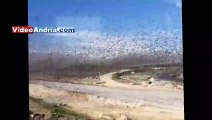 Spettacolo tra Andria e Canosa: stormo con migliaia di uccelli sorprende gli automobilisti