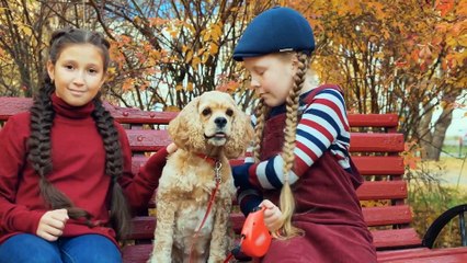 Idealny kompan dla Twojego dziecka. Poznaj najbardziej przyjazne rasy psów.