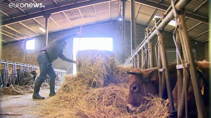 "Breves de Bruxelas": Corte na PAC terá impacto na agricultura familiar