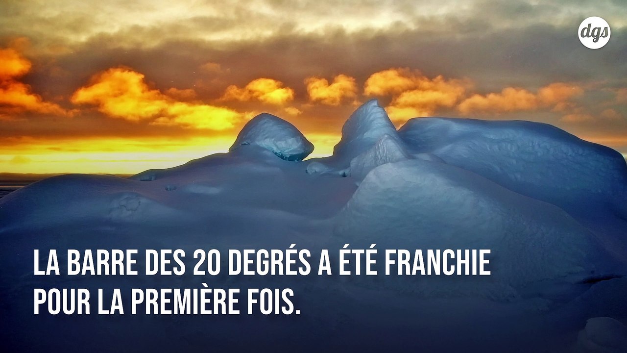 Pour la première fois de notre Histoire, l'Antarctique a franchi la barre des 20 degrés