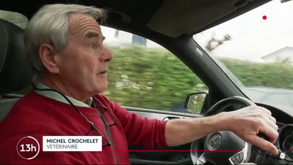 Dordogne : les éleveurs victimes d'une pénurie de vétérinaires