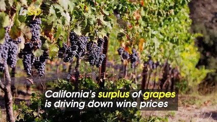 Cheers! Why Your Favorite Wine Will Be Cheaper in 2020