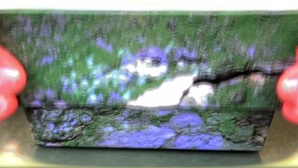 dayjust oro rosa fiori