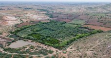 Un couple hindou achète des terres près d'une réserve de tigres et laisse la forêt pousser pour donner plus de liberté aux animaux