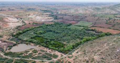 Un couple hindou achète des terres près d'une réserve de tigres et laisse la forêt pousser pour donner plus de liberté aux animaux