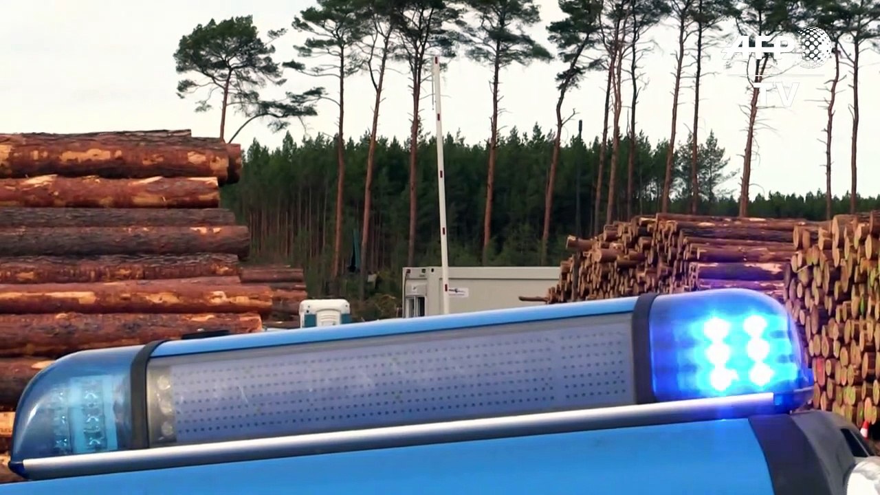 Baumbesetzung gegen Tesla-Rodungen in Brandenburg