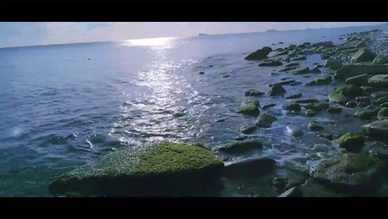 Nuran Bakışkan - Ne Kıymeti Var