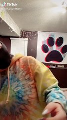 Suspicious Bird Bites at Masked Owner