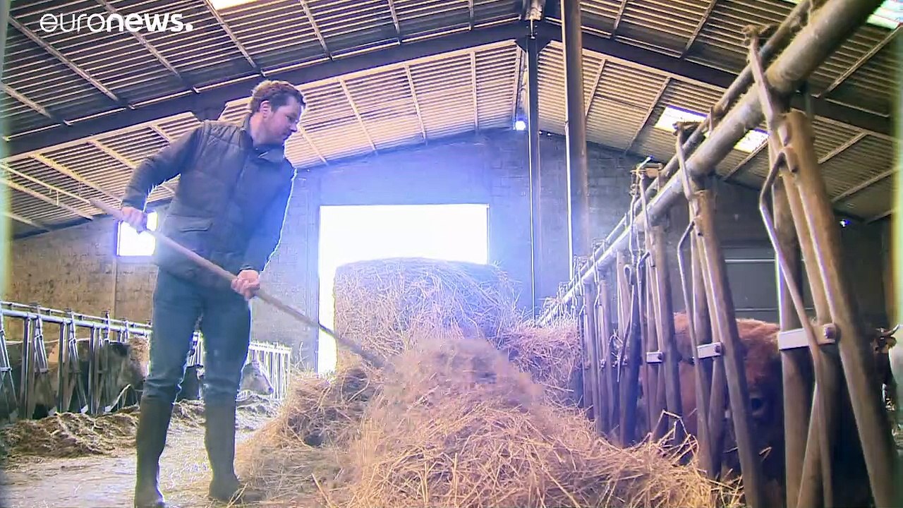 The Brief from Brussels: Bauern bangen um EU-Beihilfen