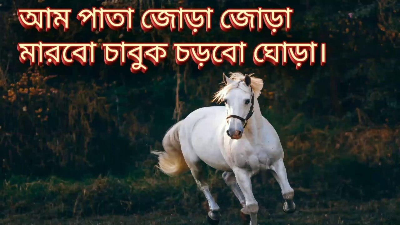 Aam pata Joda Joda marbo chabok chorbo ghora । আম পাতা জোড়া জোড়া মারবো চাবুক চড়বো ঘোড়া। বাংলা কবিতা। বাচ্চাদের প্রিয় ছড়া।