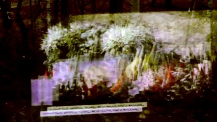 Jan 7 2020 DL3