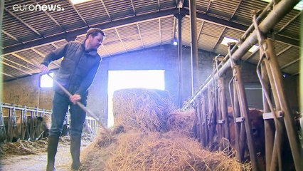 La supervivencia del campo europeo en The Brief from Brussels