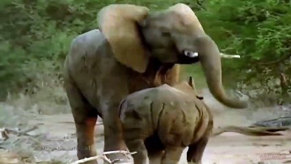 보은출장서비스 보은출장서비스O1Og4838g4959｛카톡NET47｝ 보은출장마사지샵 보은출장안마on보은출장안마cos여3♪⇔∃마사지황형♥⊂≪