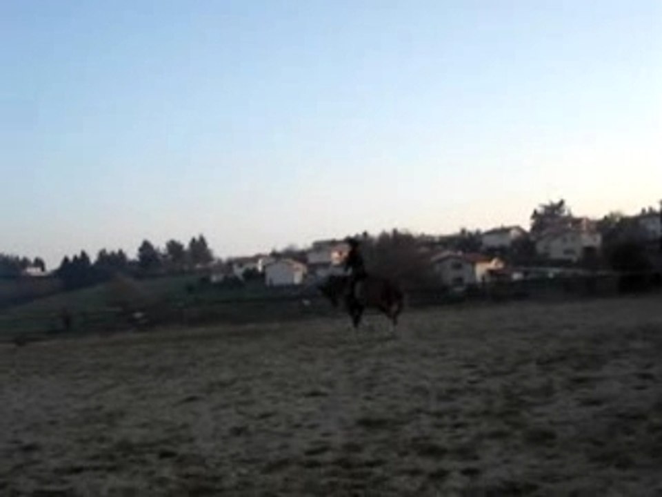 MOV02354