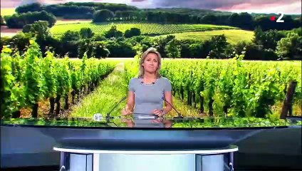 Vins français : le secteur en crise en raison des taxes américaines