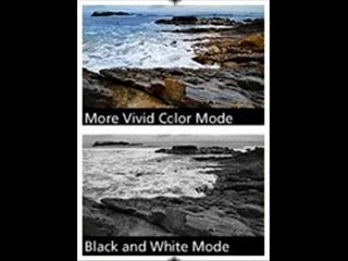 Nikon D40x 10.2MP Digital SLR Camera