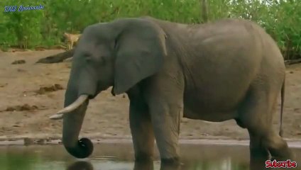 오산출장서비스 오산출장서비스O1Og2118g2518｛카톡TAT22｝ 오산출장마사지샵 오산출장안마on오산출장안마cos여3♪⇔∃마사지황형♥≿≪