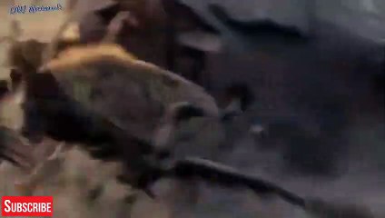 대구출장서비스 대구출장서비스O1OE9914E7203｛카톡DDD22｝ 대구출장마사지샵 대구출장안마on대구출장안마cos여3♪⇔∃마사지황형♥≎≪