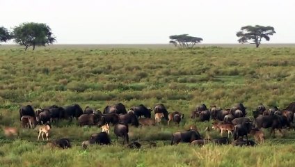 예산출장서비스 예산출장서비스O1Og4832g2166｛카톡MGM85｝ 예산출장마사지샵 예산출장안마on예산출장안마cos여3♪⇔∃마사지황형♥∌≪