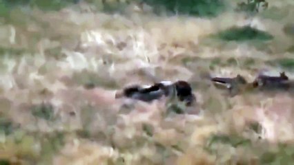 해남출장서비스 해남출장서비스O1OE6683E6402｛카톡GOO56｝ 해남출장마사지샵 해남출장안마on해남출장안마cos여3♪⇔∃마사지황형♥◮≪