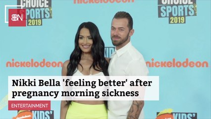 The Nikki Bella Pregnancy Update